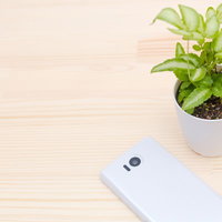 観葉植物の横に置かれた携帯電話のナチュラルなデスク風景の写真
