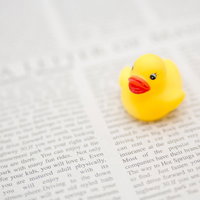 アヒルちゃんと英文紙の写真