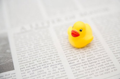 アヒルちゃんと英文紙