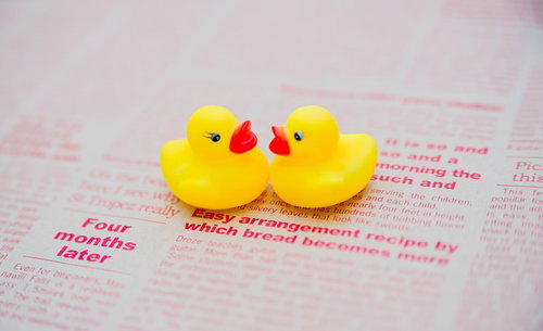 ピンクの紙の上で寄り添うあひるちゃん