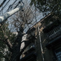 昭和の面影を残す窓と外壁が並ぶ同潤会アパートの写真