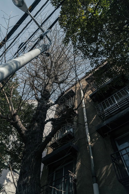 昭和の面影を残す窓と外壁が並ぶ同潤会アパート