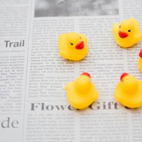新聞の上で会議するあひるちゃんの写真