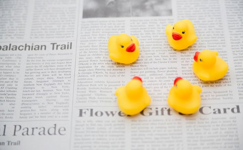 新聞の上で会議するあひるちゃん