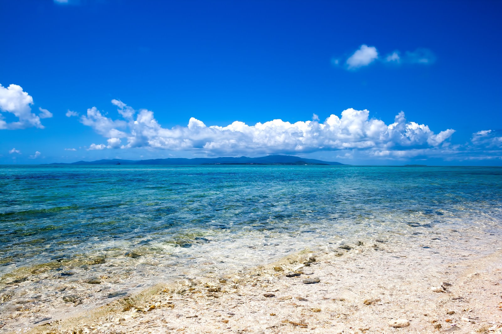 エメラルドグリーンの南国の海