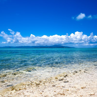 エメラルドグリーンに透き通る南国のサンゴ礁の海の写真