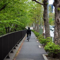 都会のビル街を自転車で駆け抜けるメッセンジャーの後ろ姿の写真