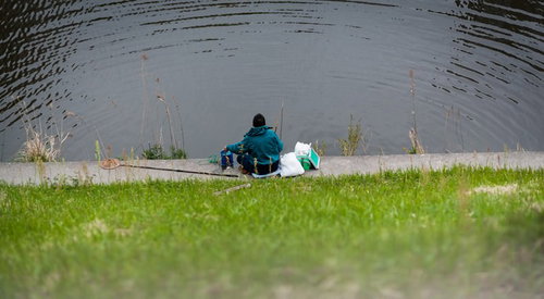 川辺で竿を垂らして魚の当たりを待つ釣り人の後ろ姿