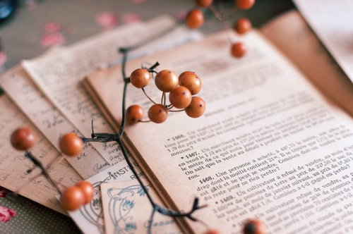 革表紙の洋書の上に赤い実のサンキライが飾られたおしゃれな構図