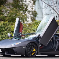 ランボルギーニ・アヴェンタドール、グレーボディのシザースドアの写真