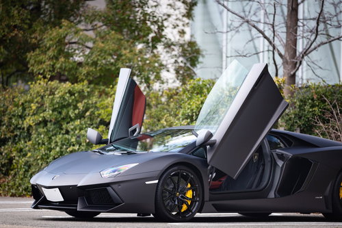 ランボルギーニ・アヴェンタドール、グレーボディのシザースドア