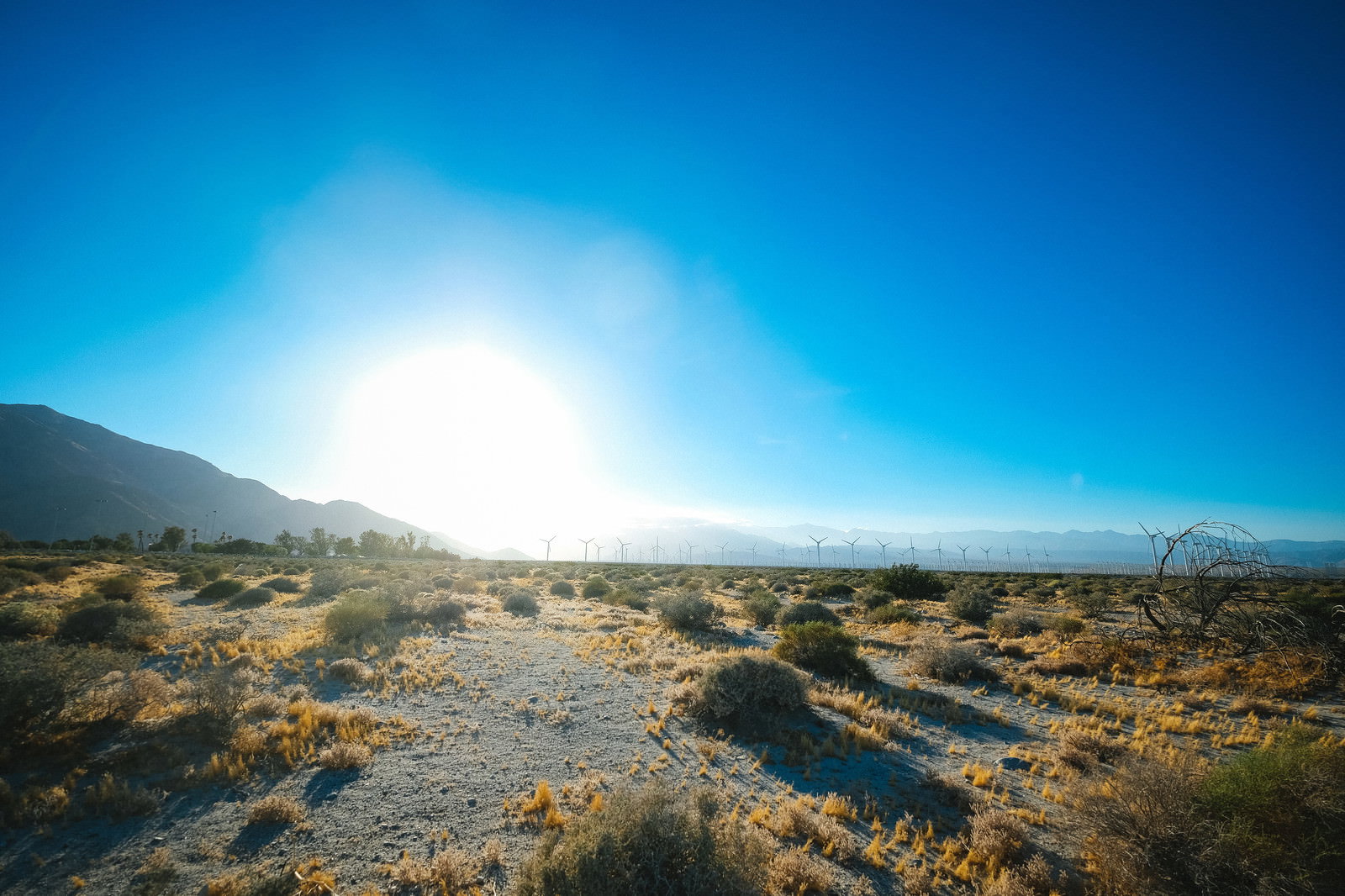 青空に輝く太陽とカリフォルニアの荒涼とした大地の風景