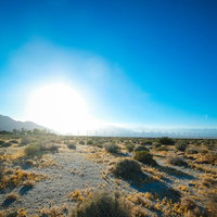 カリフォルニア・パームスプリングスの太陽と荒野の写真