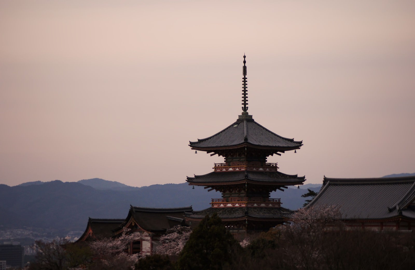 夕暮れの街並みと桜に囲まれた五重塔