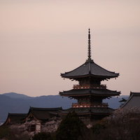 夕方の京都の街並みと五重塔の写真