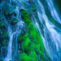 崖からの柔らかな流れと苔岩の写真