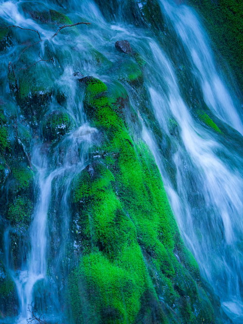 崖からの柔らかな流れと苔岩
