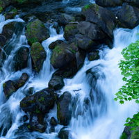 苔むした岩場を勢いよく流れる清流と豊かな自然の写真