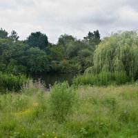 緑の芝生と池が広がるセントジェームズパーク園内の写真