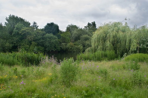 緑の芝生と池が広がるセントジェームズパーク園内
