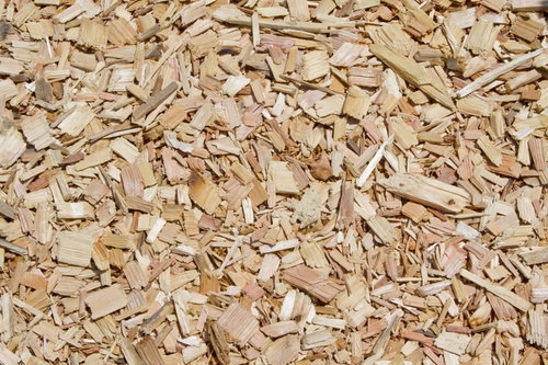 茶色い木片が敷き詰められたウッドチップの地面