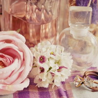 ピンクの花びらが重なるバラの品種「乙女のススメ」の写真