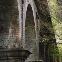 森の中に残る苔むしたアーチ型の橋の写真