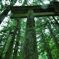 石の階段を上がった先にある朱色の神社の鳥居の写真