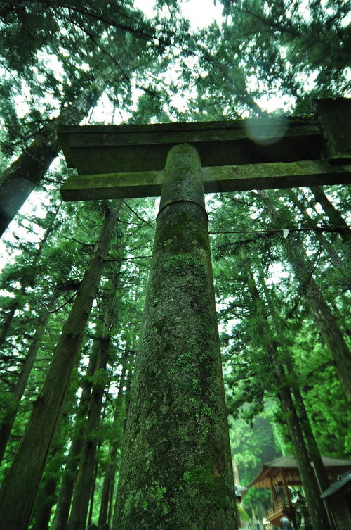 石の階段を上がった先にある朱色の神社の鳥居