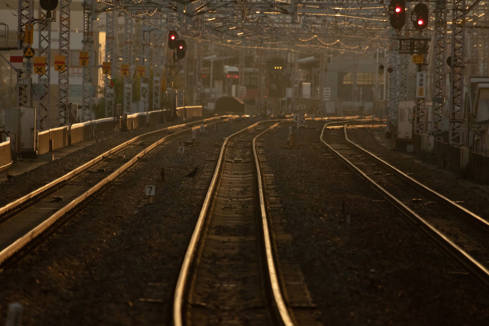 夕焼けに照らされた線路と信号機が並ぶ鉄道の風景