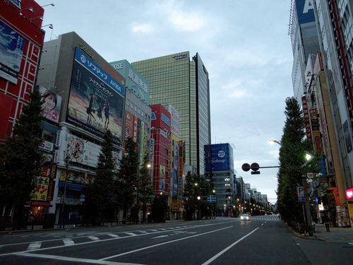 秋葉原の車道から見上げた道路沿いのビル群