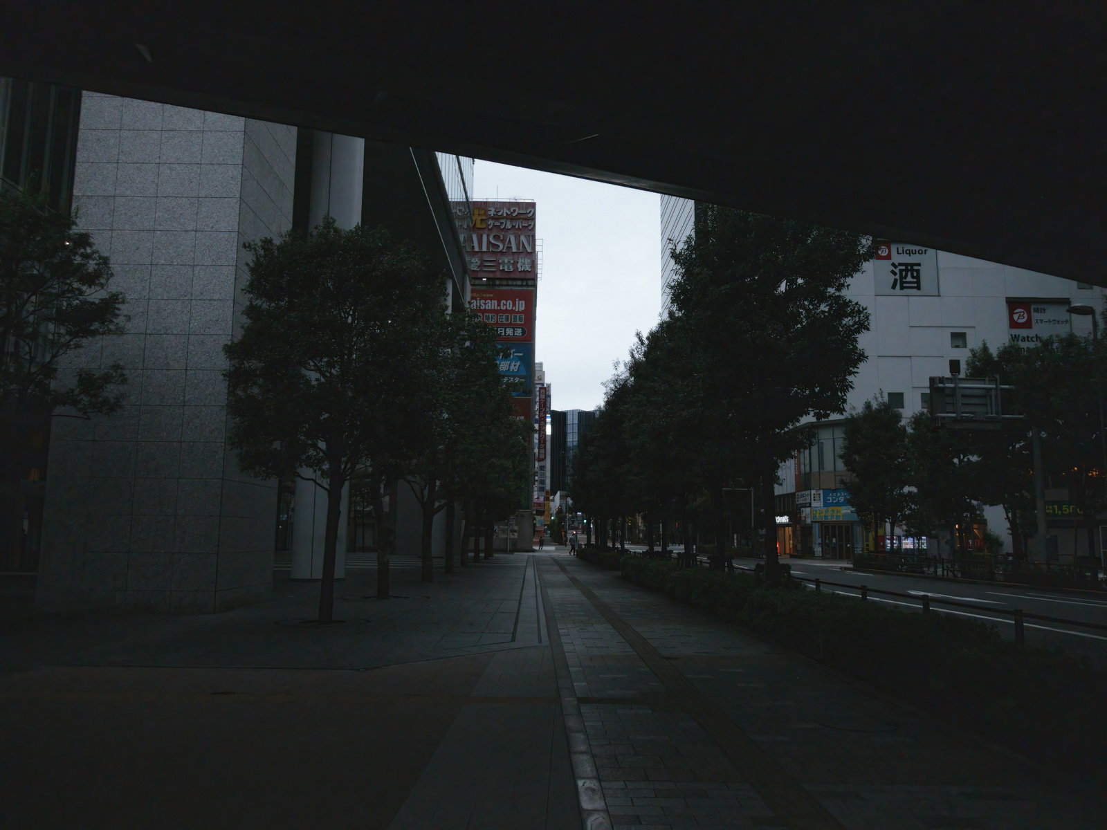 夕暮れ時の秋葉原の歩道に街路樹が立ち並ぶ街並み