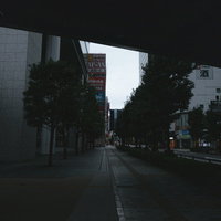 秋葉原のクロスフィールド横道、夕暮れ時の街路樹と歩道の写真