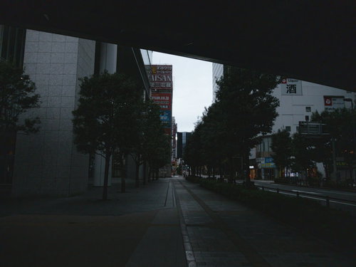 秋葉原のクロスフィールド横道、夕暮れ時の街路樹と歩道