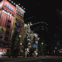 秋葉原の繁華街で夜間にライトアップされたテナントビルと看板の写真