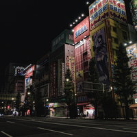 夜の秋葉原電気街、ビルに並ぶライトアップされた看板の写真