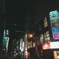 秋葉原の路地裏に並ぶ電飾袖看板の夜景の写真