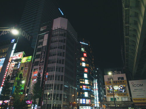 秋葉原の夜間に電飾ネオンが光るスケルトンビル