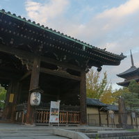 東寺の南大門前奥に見える国宝の金堂と右手に見える国宝の五重塔の写真