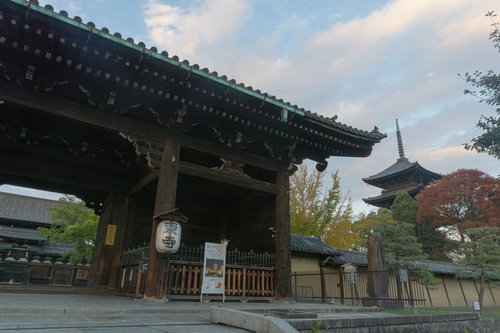 東寺の南大門前奥に見える国宝の金堂と右手に見える国宝の五重塔