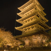 近くから見上げるライトアップされた東寺の国宝五重塔の写真