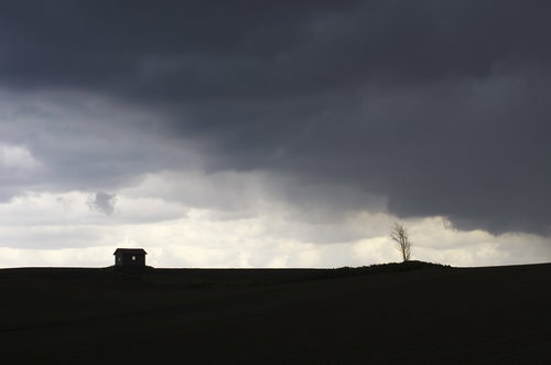 暗い雲と光が差す荒野に建つ一軒家と枯れ木のシルエット