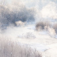 雪に覆われた川面から立ち上る川霧の写真
