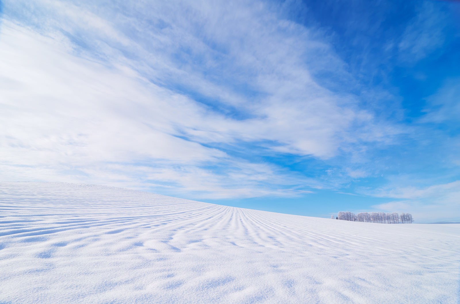 北海道の広大な雪原。白い雪地に波紋状の筋が入り、遠くに林が見える