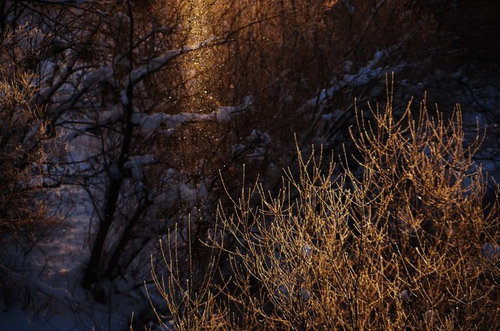 北海道のサンピラー