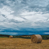 北海道の畑に置かれた牧草ロールと曇り空の写真