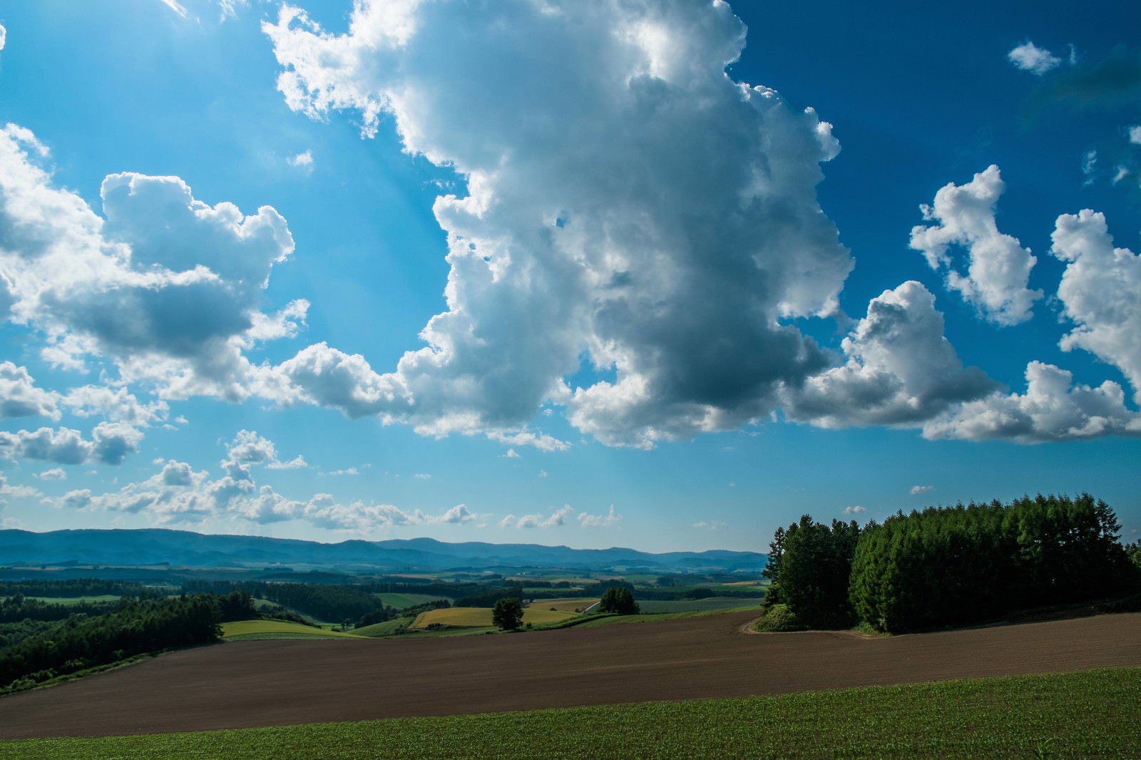 北海道の広大な畑と空に広がる大きな雲