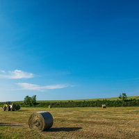 広大な農地の牧草ロールとトラクターの写真