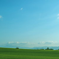 青空の下に広がる美瑛の緑の農地の写真