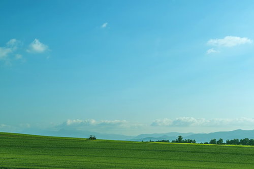 青空の下に広がる美瑛の緑の農地